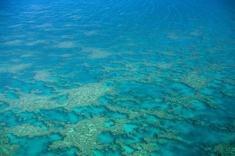 黄金海岸看海 去昆士兰寻找最浪漫的心形礁
