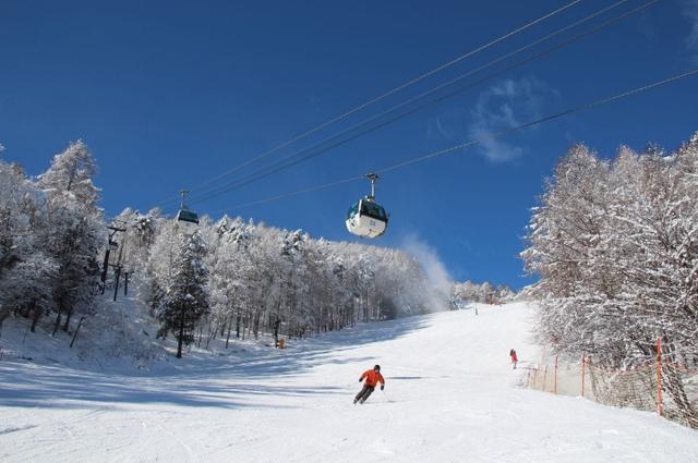 日本十大滑雪地点（日本旅游攻略滑雪季来了）(4)