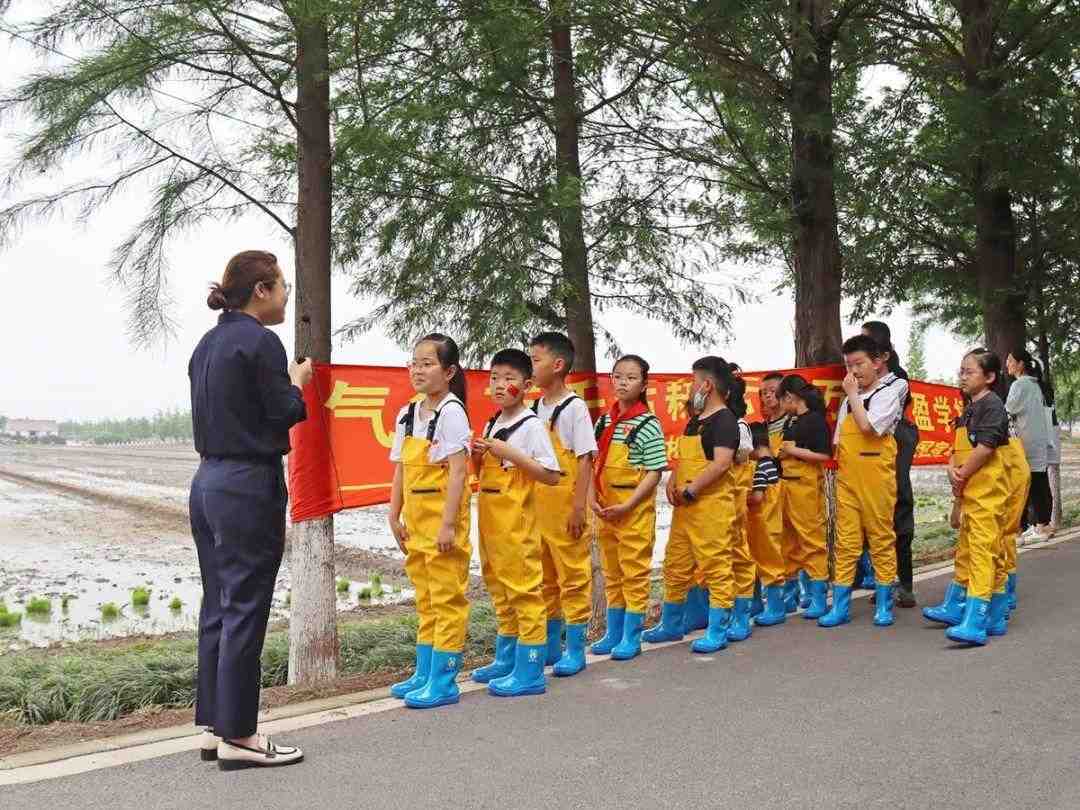 趣味农旅新体验，松江亲子家庭田间地头学插秧