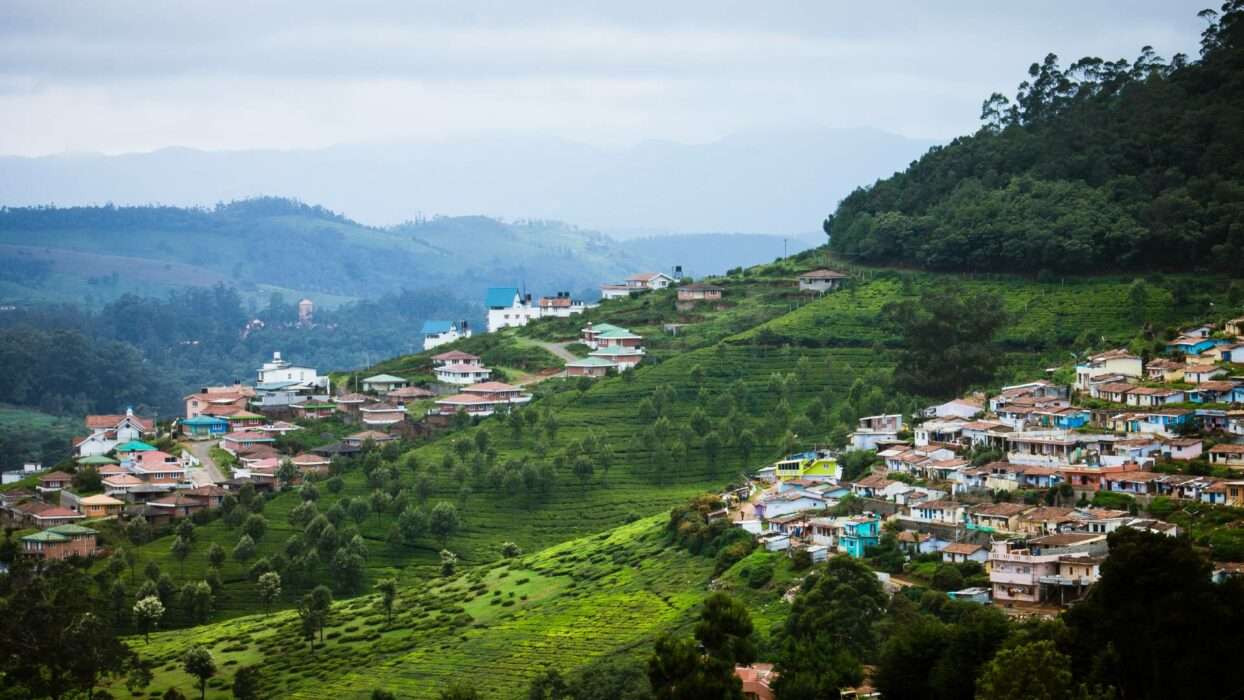 丘陵皇后奥蒂最奢华的住宿之旅