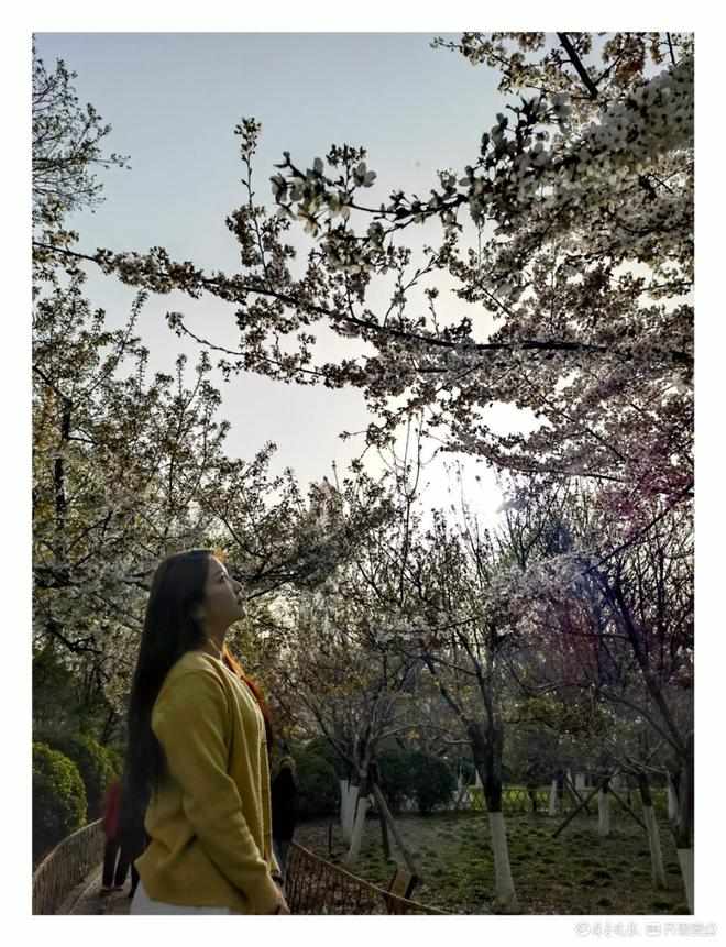 春暖花开游人如织，热闹的济南五龙潭公园