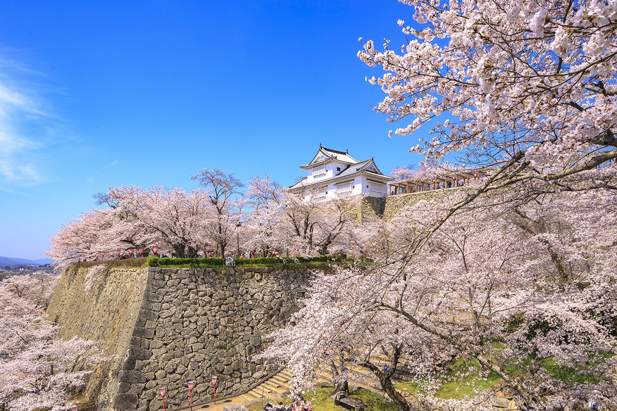 Tsuyama Castle