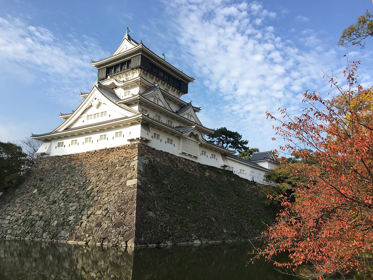 揭开北九州的面纱：最佳旅游景点终极指南