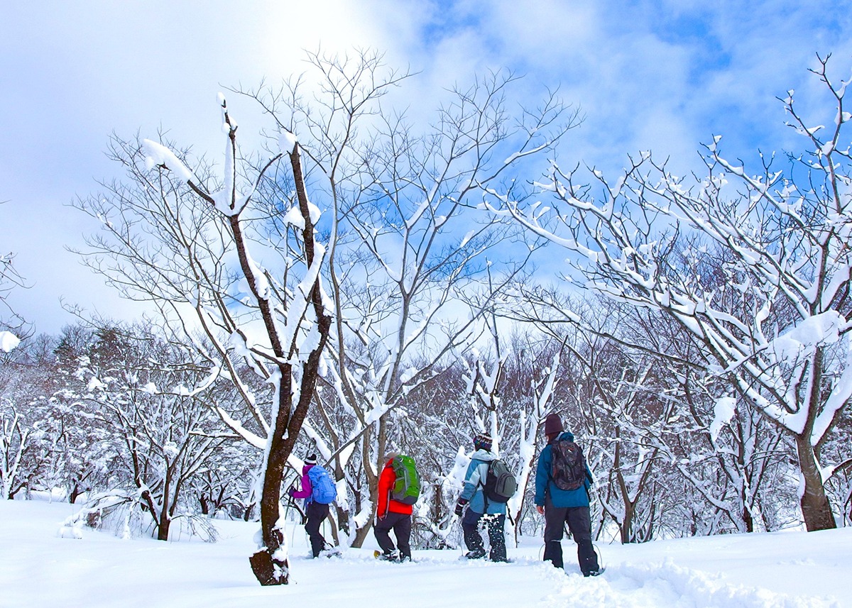 Snowshoeing Tour