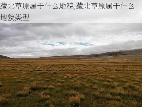 藏北草原属于什么地貌,藏北草原属于什么地貌类型