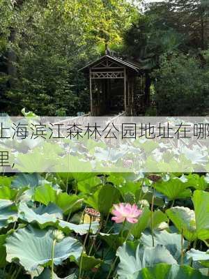 上海滨江森林公园地址在哪里,