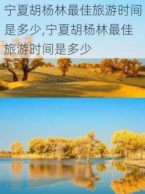 宁夏胡杨林最佳旅游时间是多少,宁夏胡杨林最佳旅游时间是多少