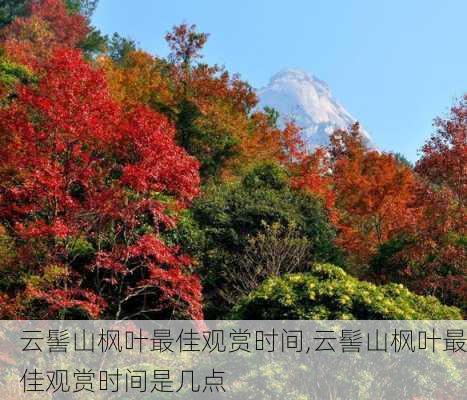 云髻山枫叶最佳观赏时间,云髻山枫叶最佳观赏时间是几点