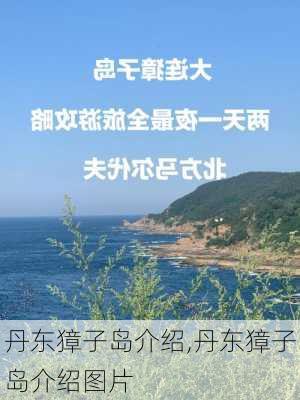 丹东獐子岛介绍,丹东獐子岛介绍图片