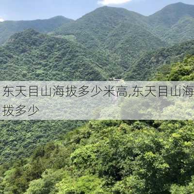 东天目山海拔多少米高,东天目山海拨多少