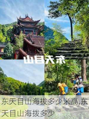 东天目山海拔多少米高,东天目山海拨多少