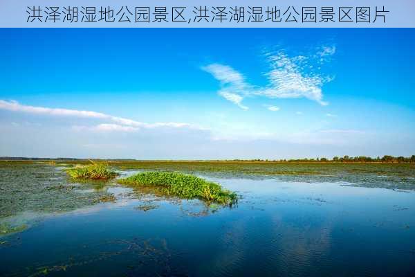 洪泽湖湿地公园景区,洪泽湖湿地公园景区图片