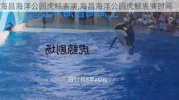 海昌海洋公园虎鲸表演,海昌海洋公园虎鲸表演时间