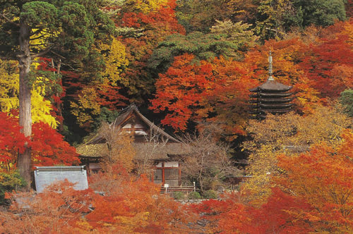 谈山神社之秋