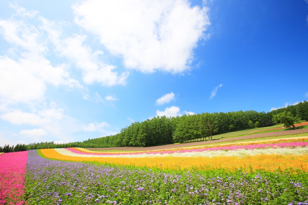 北海道富良野