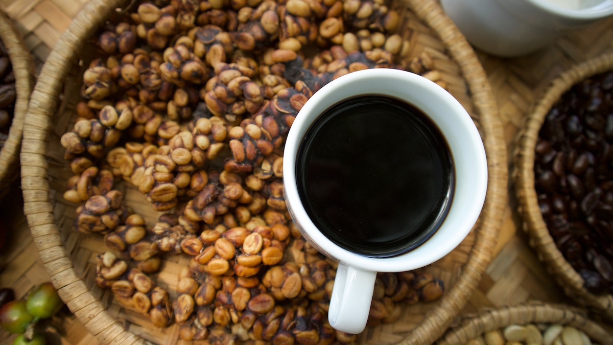 Kopi Luwak