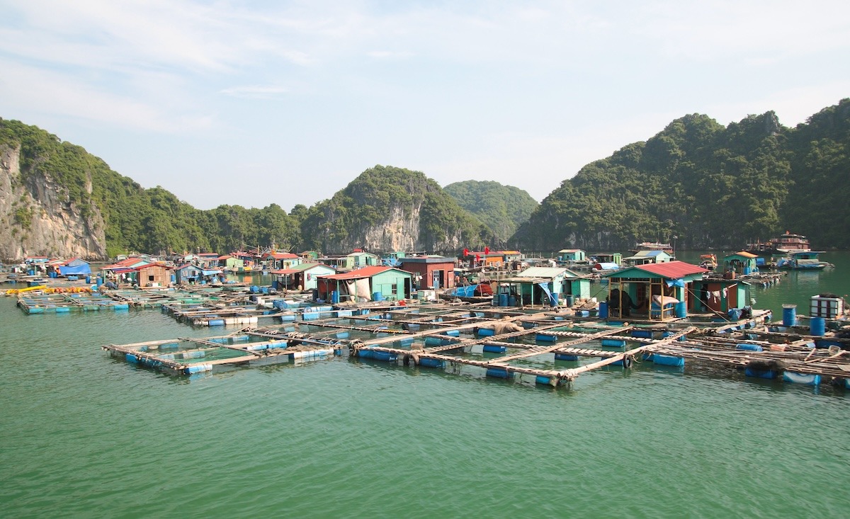 越南下龙湾猫坝浮村