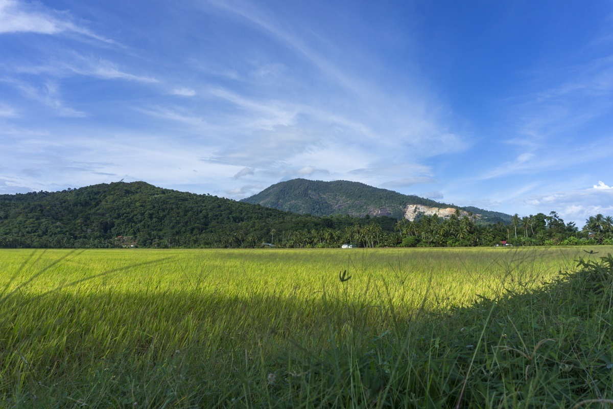 杰莱山