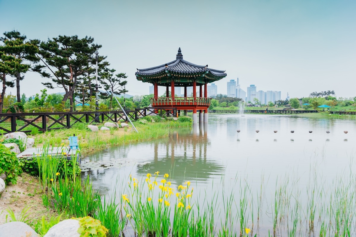 韩国大田韩巴植物园