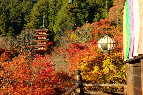 秋天的长谷寺3