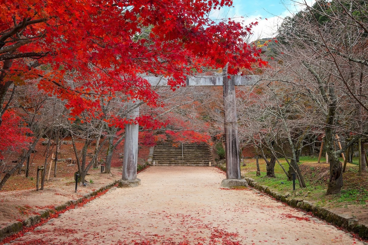 日本福冈的 Homangu Kamado 神社