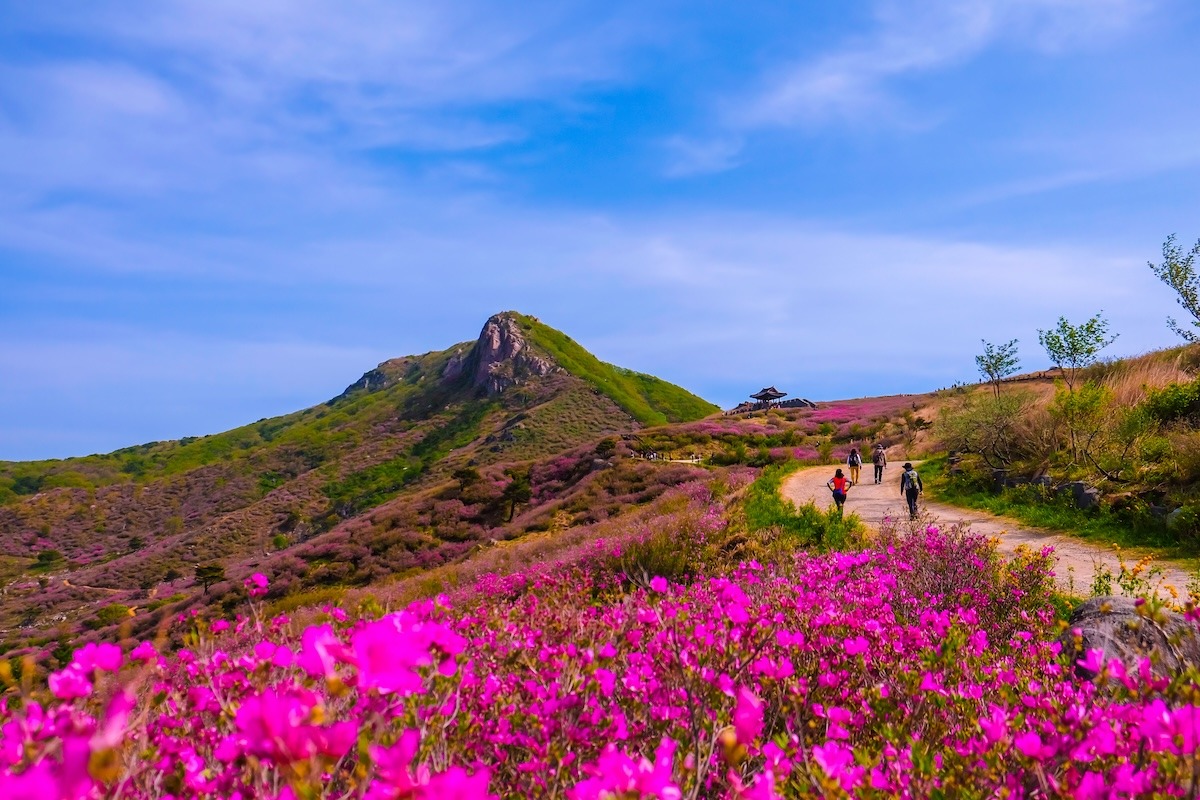 Hwangmaesan mountain in Hapcheon city of South Korea