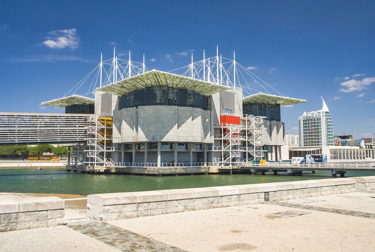 里斯本 - 里斯本海洋馆（Oceanario de Lisboa）