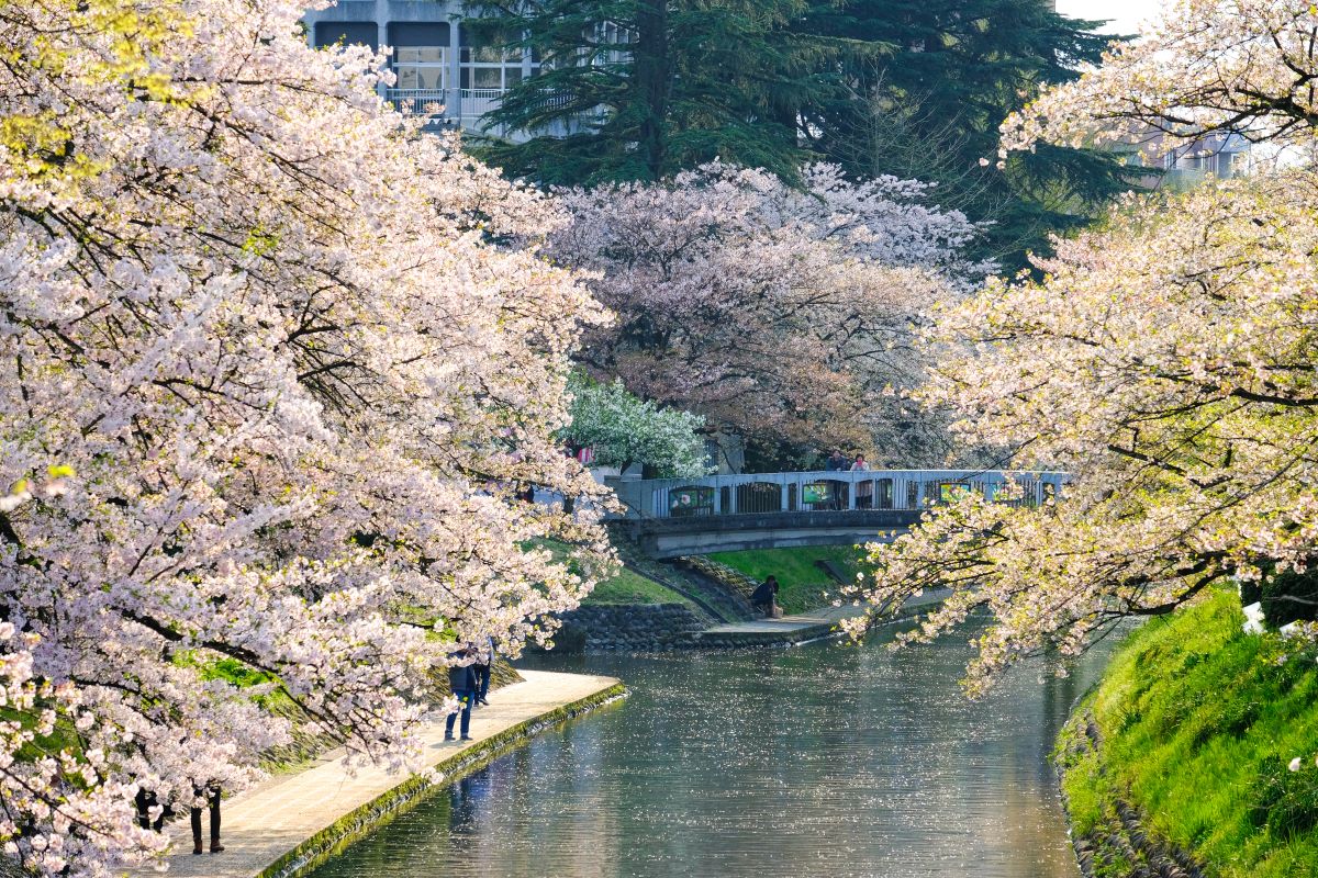 富山松川公园