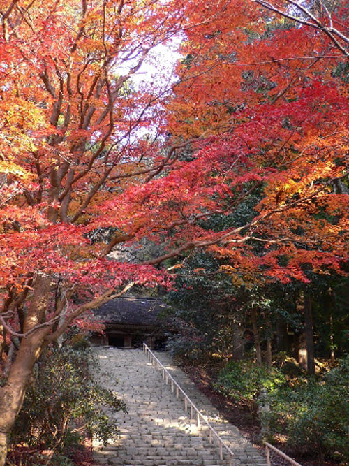 室生寺之秋