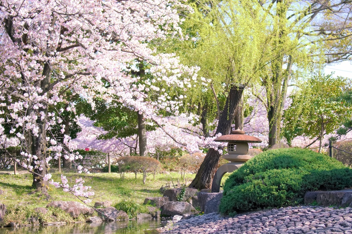 鹤沼公园