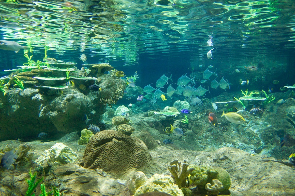 海洋公园水族馆