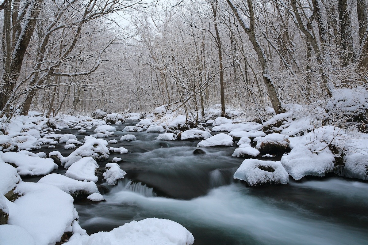 Aomori Top Attractions-Oirase Gorge