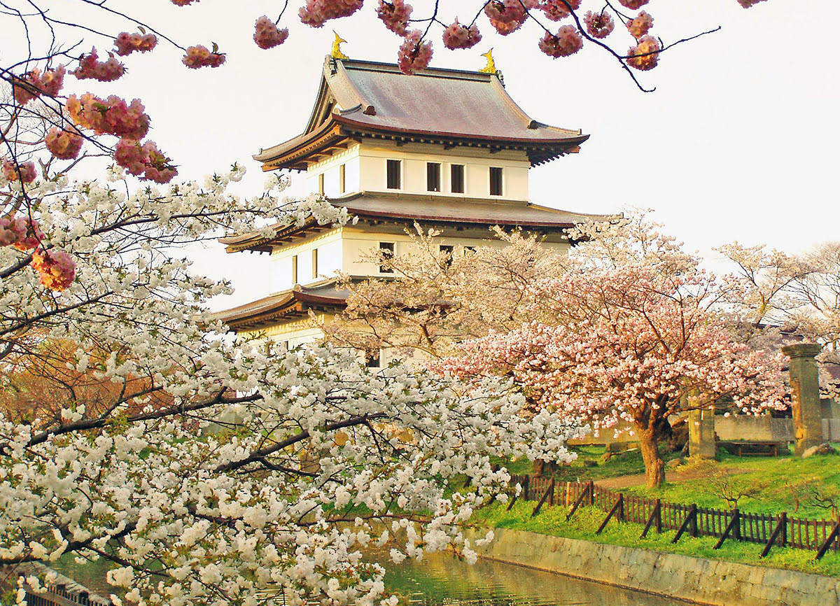 赏樱-日本-赏樱-矢野温泉旅馆