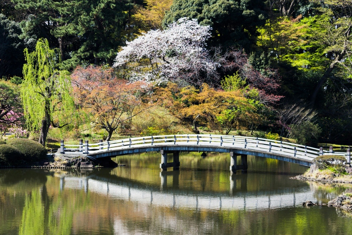 日本 3 天行程探索日本文化和现代奇迹的精髓