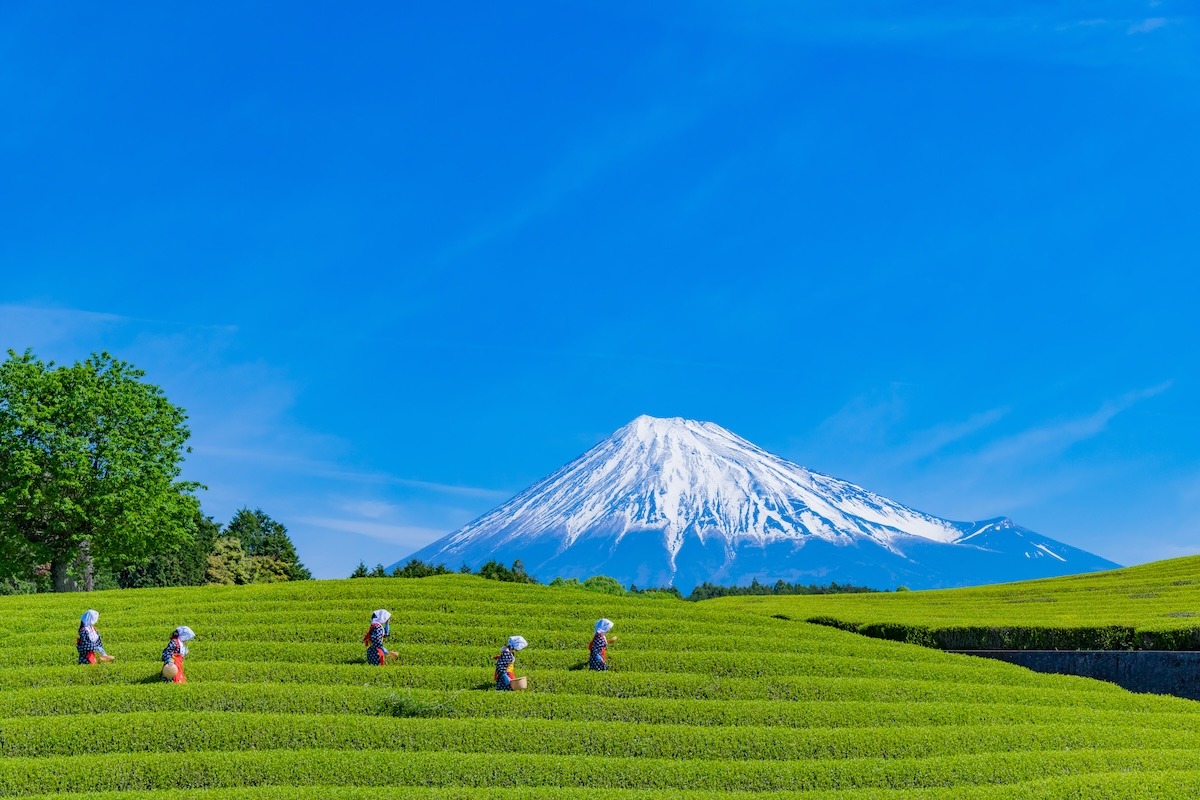 富士山