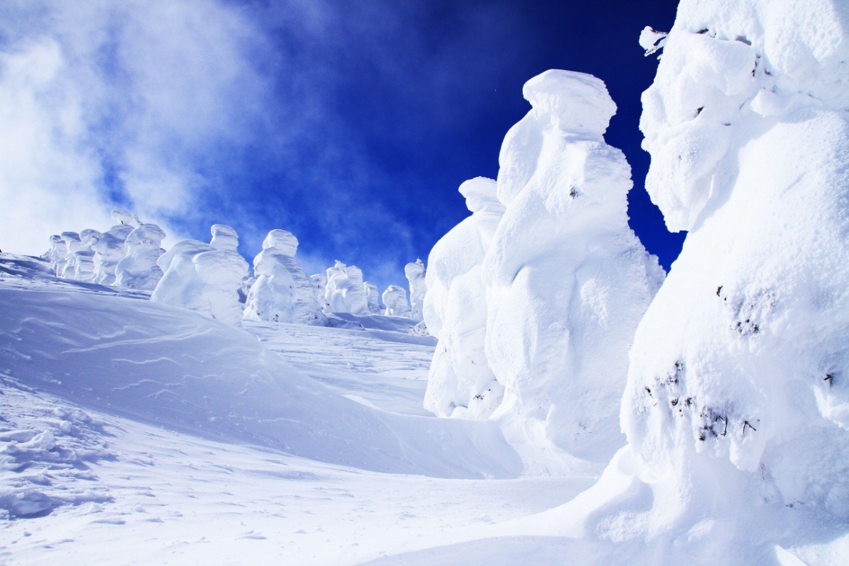 山形县藏王的雪怪