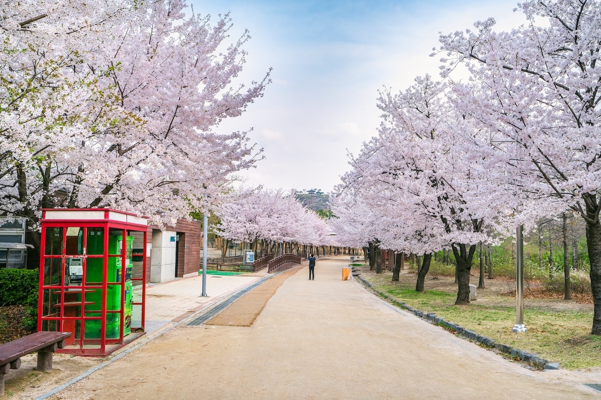 首尔森林公园，韩国首尔