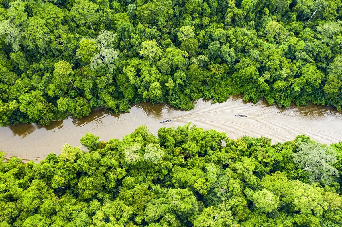 Taman Negara National Park in Pahang, Malaysia