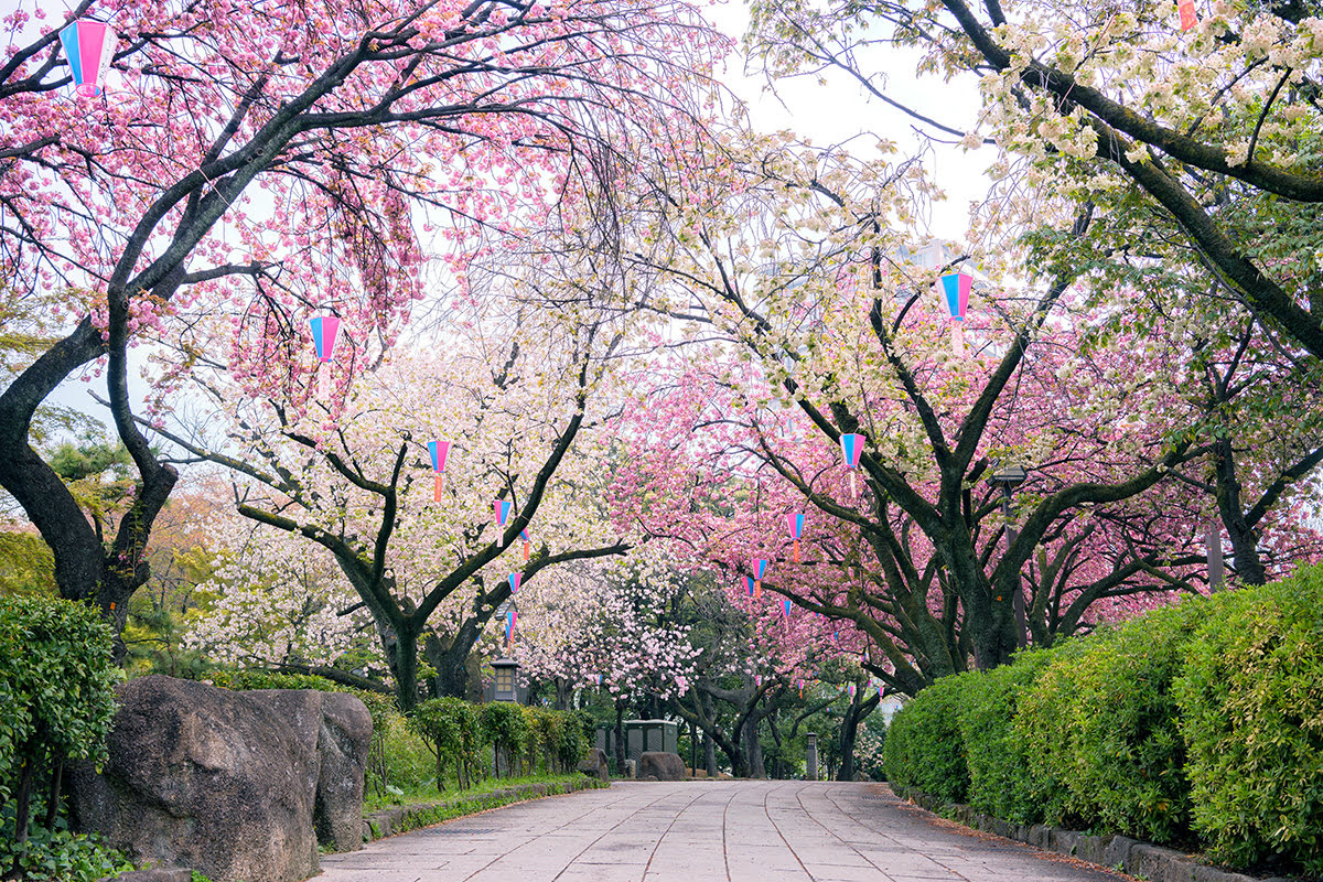 Must-Do Activities in Japan-Ueno Park in Tokyo