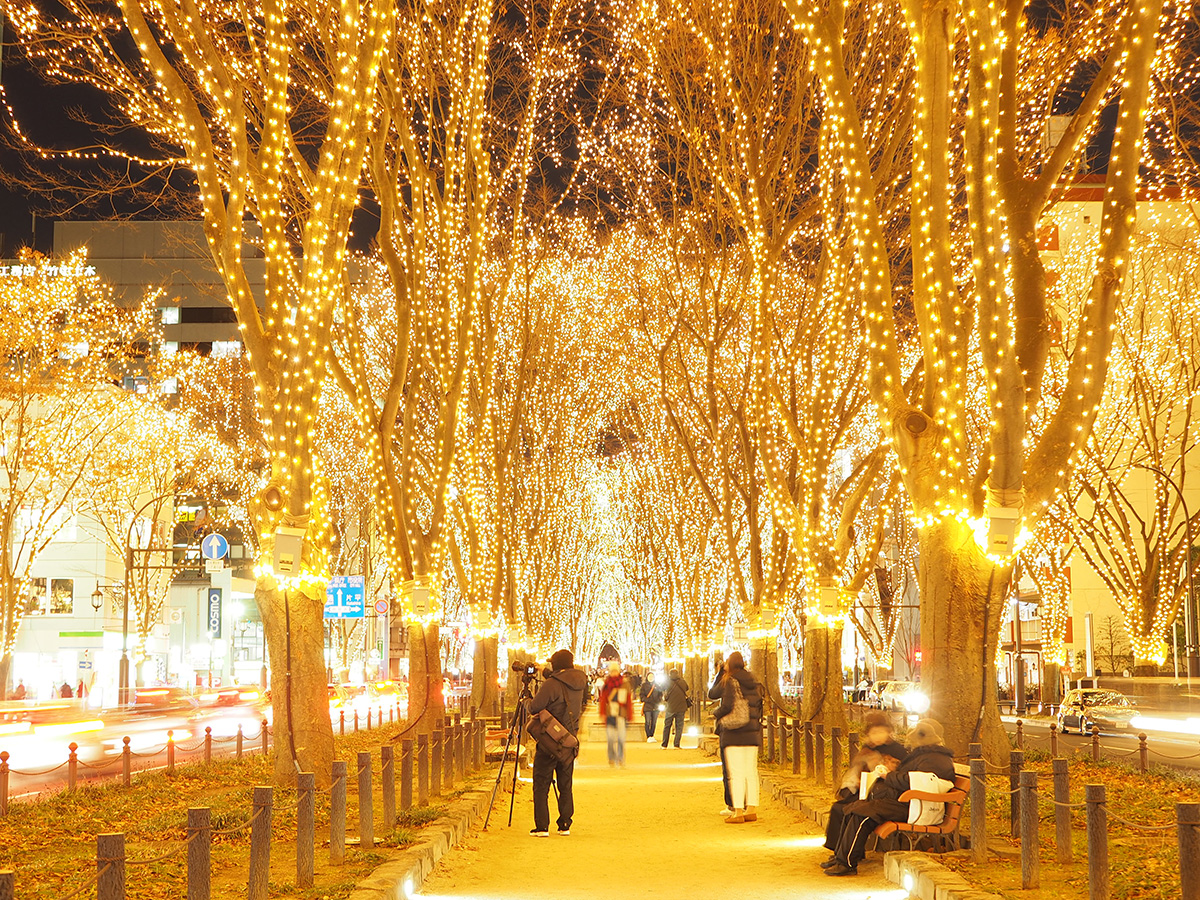 Tohoku Sightseeing-Pageant of Starlight - Sendai City