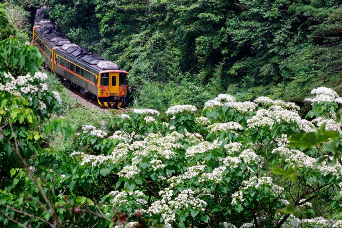 平西区的火车旅行