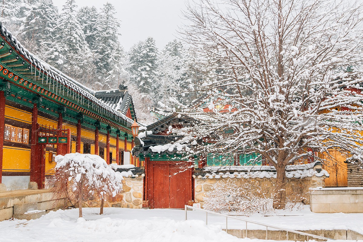 平昌郡的热门景点：探索韩国的高山天堂