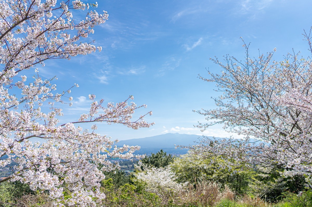 哈拉山-济州