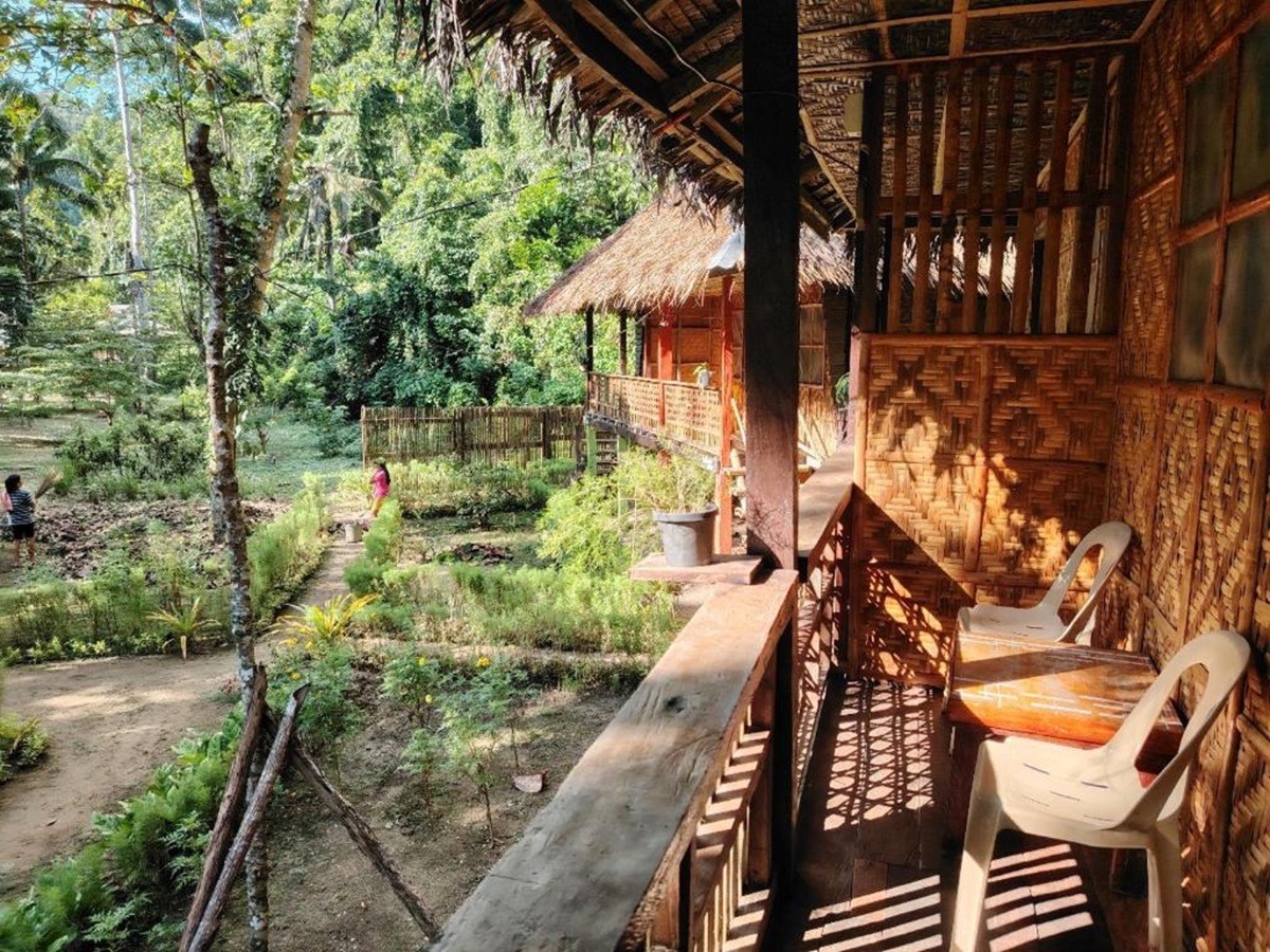 保和岛预算旅游指南如何在预算有限的情况下最大限度地提升您的体验