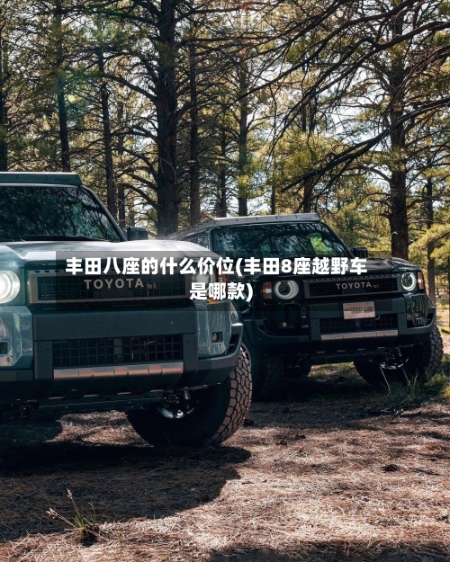丰田八座的什么价位(丰田8座越野车是哪款)