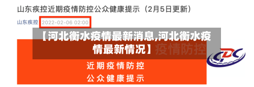 【河北衡水疫情最新消息,河北衡水疫情最新情况】-第2张图片
