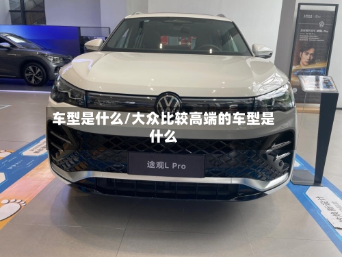 车型是什么/大众比较高端的车型是什么-第2张图片