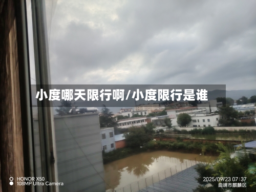 小度哪天限行啊/小度限行是谁-第2张图片