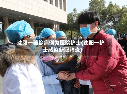 沈阳一确诊病例为医院护士(沈阳一护士感染新冠肺炎)-第2张图片