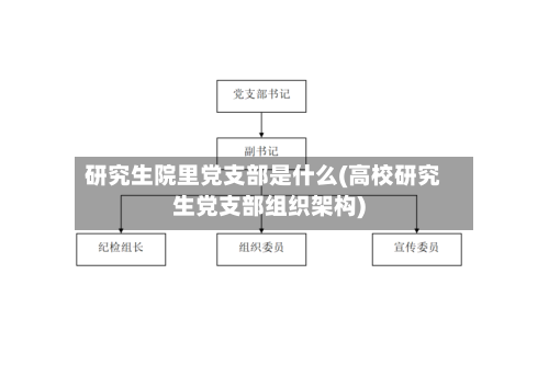 研究生院里党支部是什么(高校研究生党支部组织架构)-第2张图片